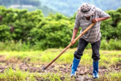 Venció el régimen para trabajadores rurales y 120.000 empleos quedaron bajo incertidumbre