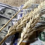 Sube el precio de los granos: trigo y maíz tocaron máximos de tres años y se aceleran las ventas de soja
