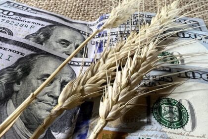 Sube el precio de los granos: trigo y maíz tocaron máximos de tres años y se aceleran las ventas de soja