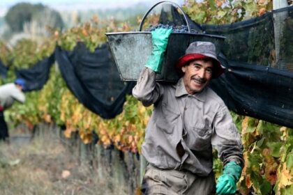 “Actualización Salarial Octubre: Nuevas Tarifas y Escala para Peones Rurales”