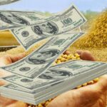 “BCRA reduce compra de dólares: Impacto y razones detrás de la decisión”