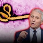 Los diarios secretos del doctor muerte: Se reveló que Fauci ocultó un experimento letal con el virus del ébola
