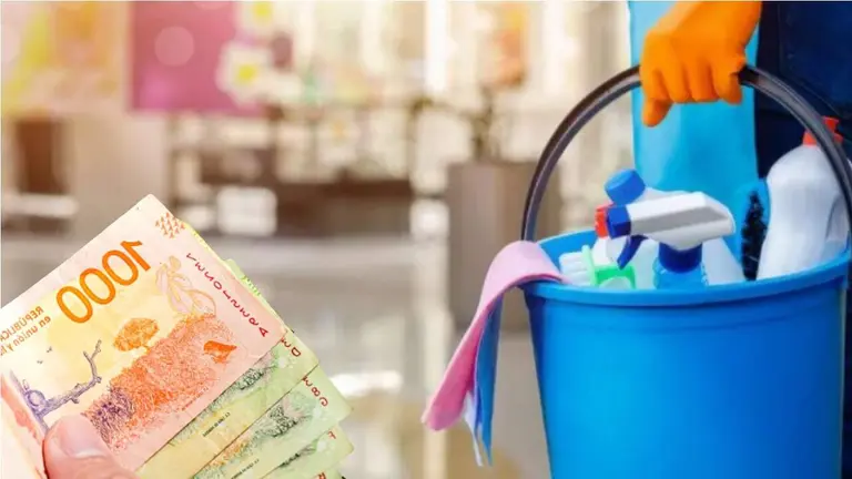 Empleada doméstica sosteniendo un balde con utensillos de limpieza, y pesos argentinos asomando desde la esquinaa inferior izquierda. Imagen producida por iProfesional