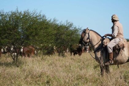 Ya se sabe cuánto cobrará un peón rural en octubre y noviembre de 2026